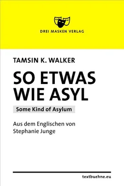 Tamsin Kate Walker So etwas wie Asyl обложка книги