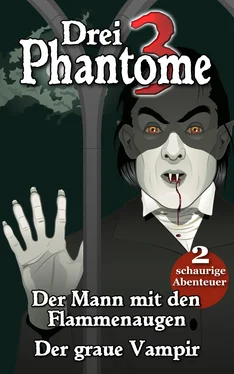 Martin Clauß Drei Phantome 1 - Gänsehaut für Kids обложка книги