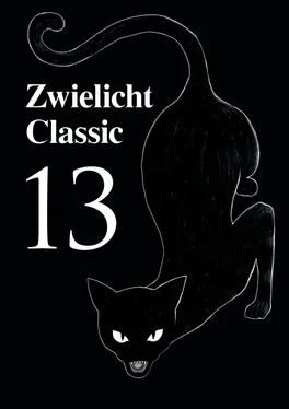 Michael Schmidt Zwielicht Classic 13 обложка книги