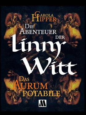 Carola Hipper Die Abenteuer der Linny Witt обложка книги