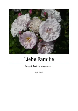 Linda Fischer Liebe Familie - Teil 1 обложка книги