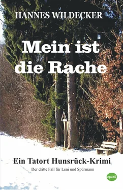 Hannes Wildecker Mein ist die Rache обложка книги