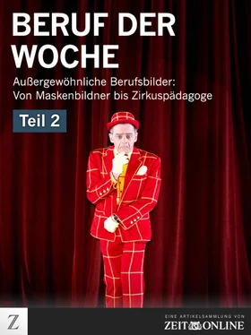 ZEIT ONLINE Beruf der Woche - Teil 2 обложка книги