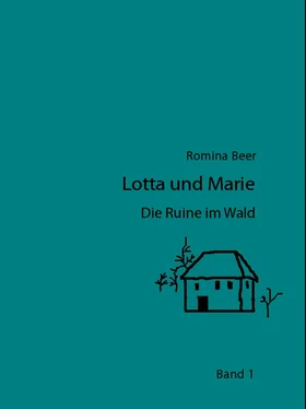 Romina Beer Lotta und Marie - Die Ruine im Wald обложка книги