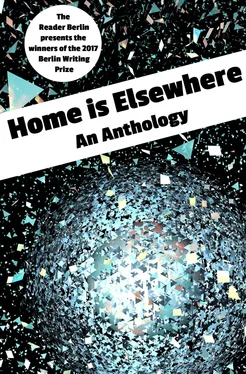 The Reader Berlin HOME IS ELSEWHERE: An Anthology обложка книги