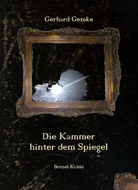 Gerhard Gemke Die Kammer hinter dem Spiegel обложка книги