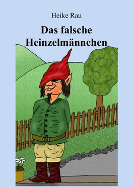 Heike Rau Das falsche Heinzelmännchen обложка книги