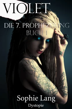 Sophie Lang Violet - Die 7. Prophezeiung - Buch 1 обложка книги