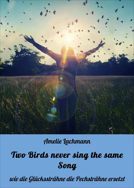 Amelie Lachmann Two Birds never sing the same Song обложка книги