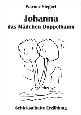 Werner Siegert Johanna - das Mädchen Doppelbaum обложка книги