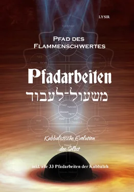Frater LYSIR Pfad des Flammenschwertes - PFADARBEITEN обложка книги
