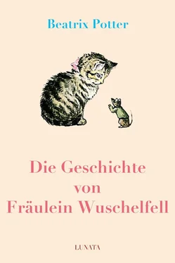 Beatrix Potter Die Geschichte von Fräulein Wuschelfell обложка книги