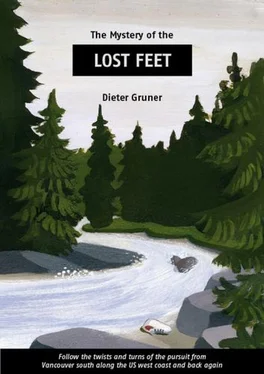 Dieter Gruner Lost Feet обложка книги