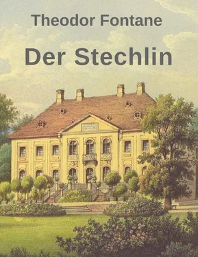 Theodor Fontane Der Stechlin обложка книги