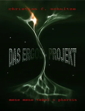 Christian Friedrich Schultze Das ERGOS-Projekt обложка книги