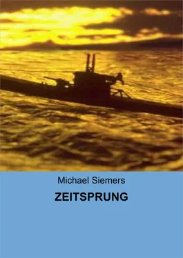 Michael Siemers ZEITSPRUNG обложка книги