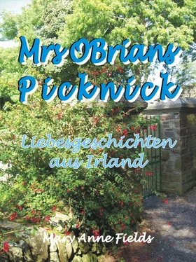 Mary Anne Fields Mrs OBrians Picknick обложка книги