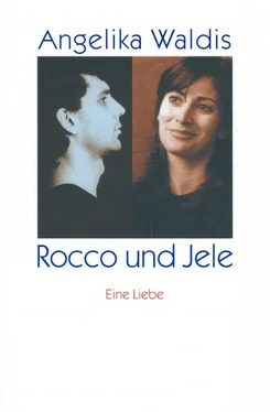 Angelika Waldis Rocco und Jele обложка книги
