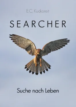 E.C. Kuckoreit Searcher обложка книги