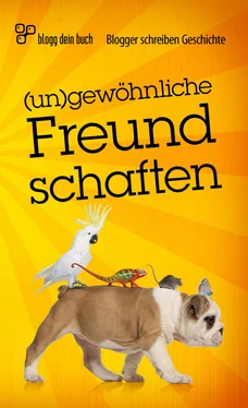 Неизвестный Автор (un)gewöhnliche Freundschaften обложка книги