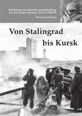 Henning Stühring Von Stalingrad bis Kursk обложка книги