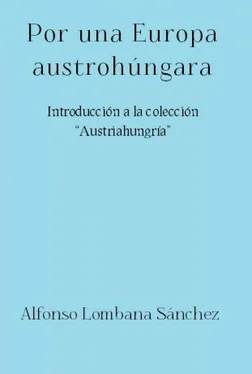 Alfonso Lombana Sánchez Por una Europa austrohúngara обложка книги