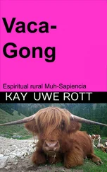 Kay Uwe Rott - Vaca-Gong