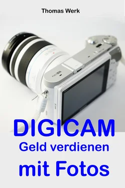 Thomas Werk DIGICAM: Geld verdienen mit Fotos обложка книги