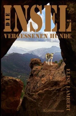 Elise Lambert Die Insel der vergessenen Hunde обложка книги