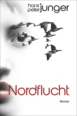 Hans-Peter Junger Nordflucht обложка книги