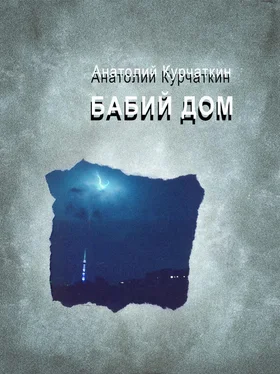 Анатолий Курчаткин Бабий дом обложка книги