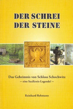 Reinhard Rehmann Der_Schrei_der_Steine_-_Das_Geheimnis_von_Schloss_Schochwitz обложка книги