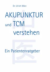 Ulrich März - Akupunktur und TCM verstehen