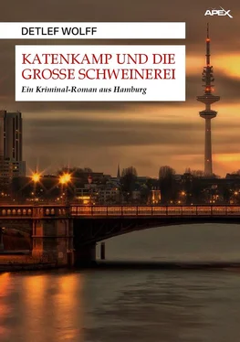 Detlef Wolff KATENKAMP UND DIE GROSSE SCHWEINEREI обложка книги