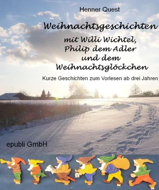 Henner Quest Weihnachtsgeschichten mit Willi Wichtel, Philip dem Adler und dem Weihnachtsglöckchen обложка книги