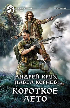 Павел Корнев Короткое лето обложка книги