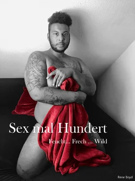 Rene Boyd Sex mal Hundert обложка книги