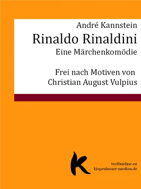 André Kannstein RINALDO RINALDINI обложка книги