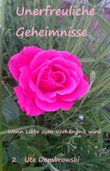 Ute Dombrowski - Unerfreuliche Geheimnisse