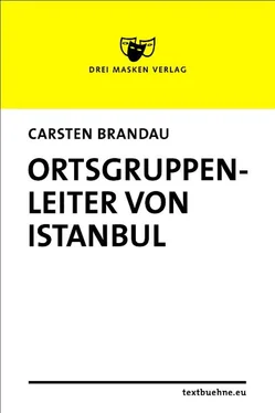 Carsten Brandau Ortsgruppenleiter von Istanbul обложка книги