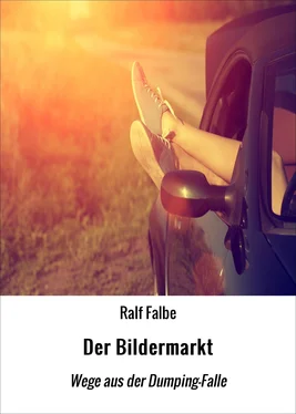 Ralf Falbe Der Bildermarkt обложка книги