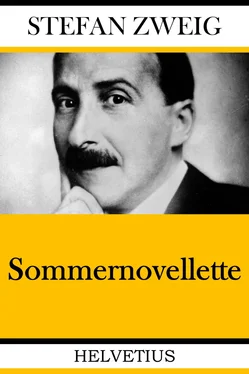 Stefan Zweig Sommernovellette обложка книги