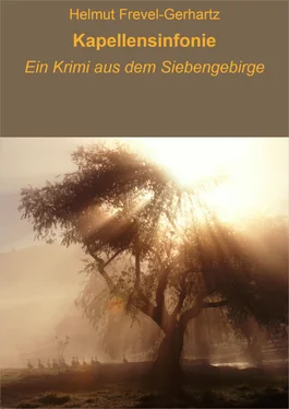 Helmut Frevel-Gerhartz Kapellensinfonie обложка книги