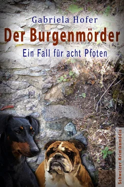 Gabriela Hofer Der Burgenmörder обложка книги