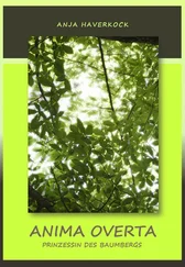 Anja Haverkock - Anima Overta