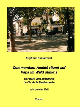 Stephane Rambicourt Commandant Amédé räumt auf - Papa im Wald stinkt's обложка книги