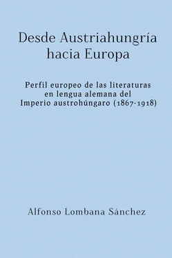 Alfonso Lombana Sánchez Desde Austriahungría hacia Europa обложка книги