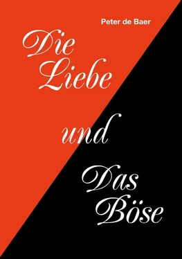 Peter de Baer Die Liebe und Das Böse обложка книги