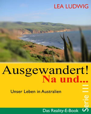 Lea Ludwig Ausgewandert! Na und … (Serie III) обложка книги