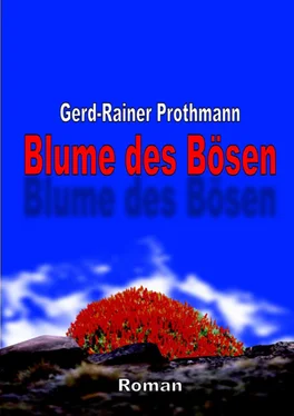 Gerd-Rainer Prothmann Blume des Bösen обложка книги